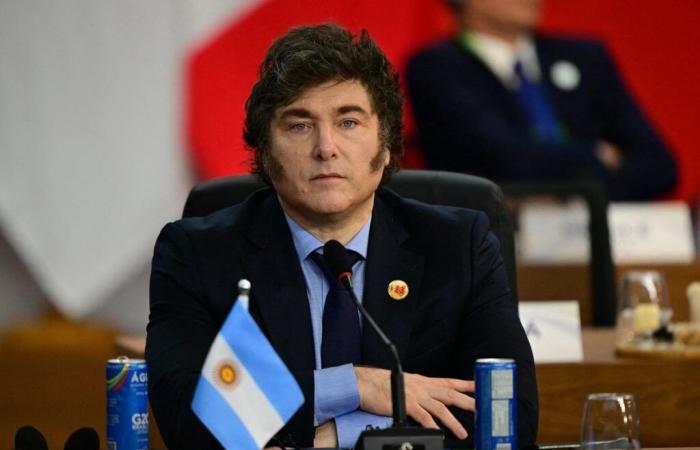 Diplomazia: Javier Milei respinge in parte la dichiarazione finale del G20