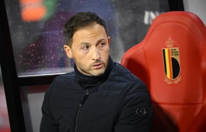 “Sono sempre l'uomo adatto al lavoro”, Domenico Tedesco, allenatore del Belgio