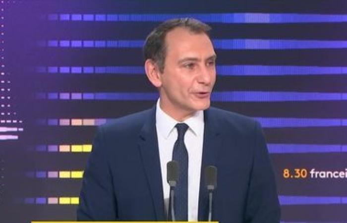 Emmanuel Macron “non ha il potere di fermare” l'accordo tra Ue e Mercosur, secondo Laurent Jacobelli, portavoce della RN