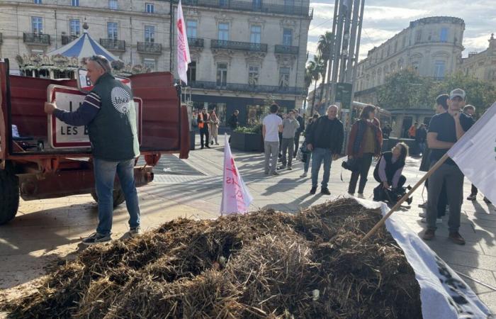 Gli agricoltori dell’Hérault vogliono qualcosa di più che semplici aiuti