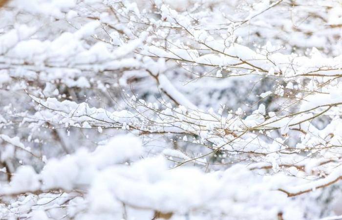 questi 7 dipartimenti dove potrebbe nevicare questa settimana