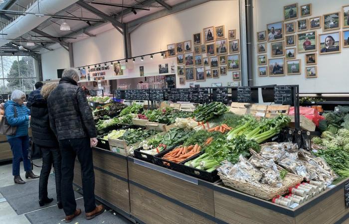 OCCITANIE Primo comitato territoriale per gli aiuti regionali all'agricoltura