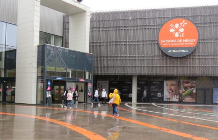 Nuovi negozi in un centro commerciale, furto con scasso… le notizie della settimana in Seine-et-Marne