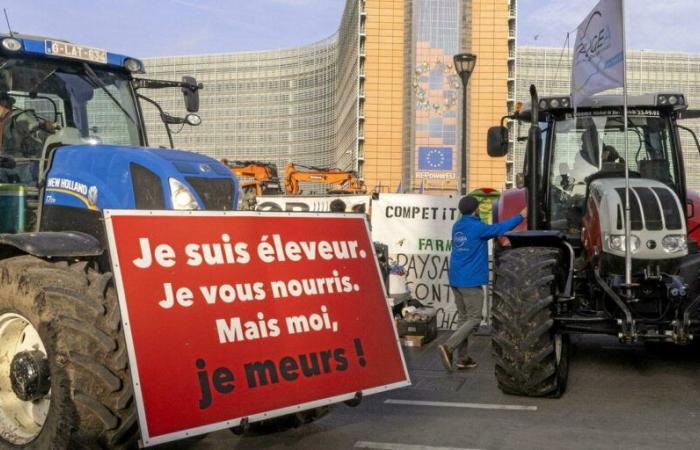 “L’accordo tra Ue e Mercosur non è un problema dell’agricoltura francese”