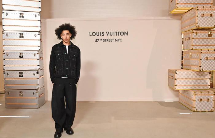 Martha Stewart, Ana de Armas, Julez Smith e altre star partecipano all'inaugurazione del negozio Louis Vuitton sulla 57th Street a New York