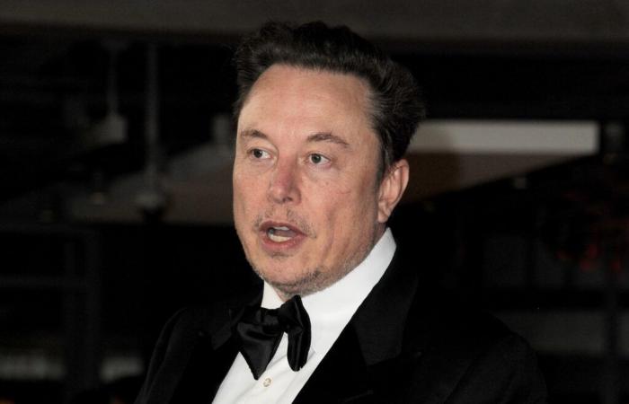 Elon Musk estende la sua battaglia legale al colosso del software