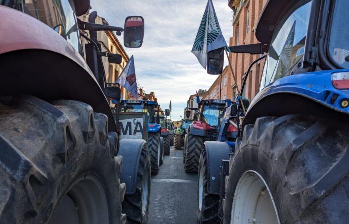 Mobilitazione degli agricoltori: cosa aspettarsi questo lunedì ad Albi?