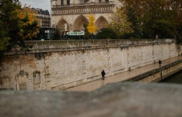 Libero accesso a Notre-Dame: la Chiesa e Dati mantengono le loro posizioni: Attualità