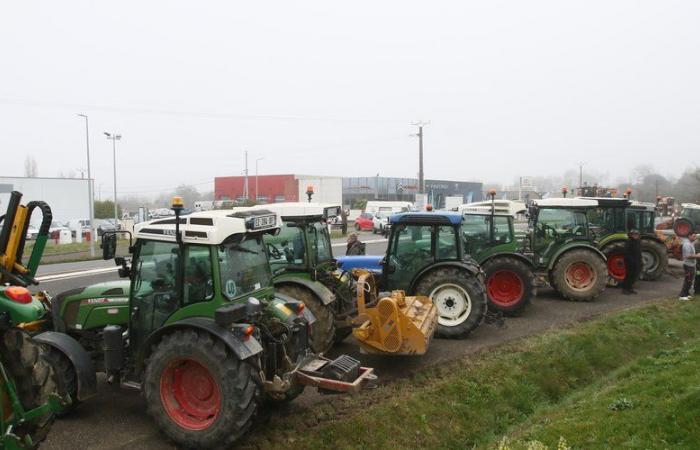 DIRETTO. La rabbia degli agricoltori: rotatorie, strade, prefetture… seguite la loro mobilitazione questo lunedì 18 novembre