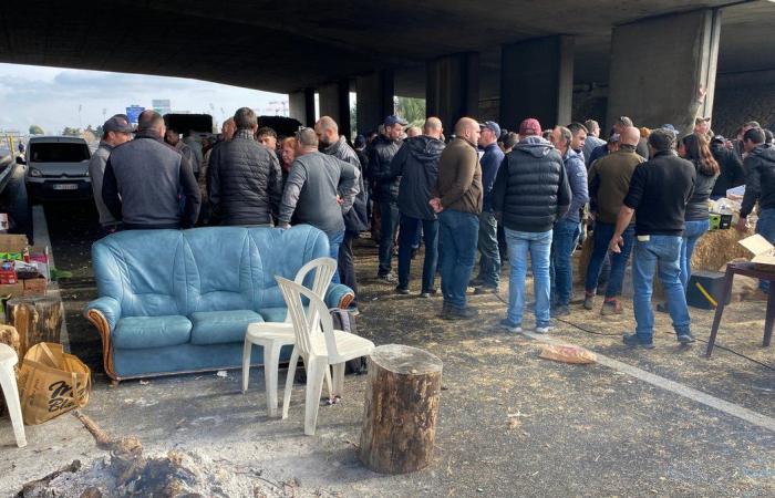 OCCITANIE Primo comitato territoriale per gli aiuti regionali all'agricoltura