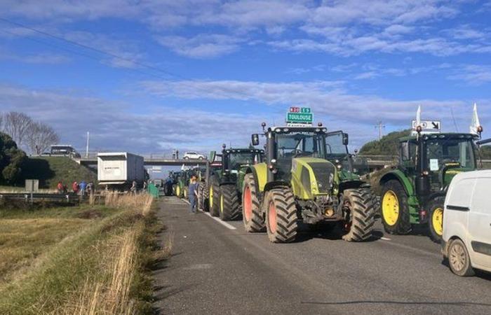 Rabbia degli agricoltori: il tunnel di Foix è stato bloccato questo lunedì sera dai trattori, la prefettura dell'Ariège ha predisposto delle deviazioni