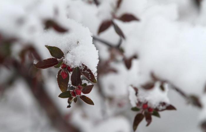 Allerta meteo invernale negli Stati Uniti, dove nel fine settimana potrebbe verificarsi neve