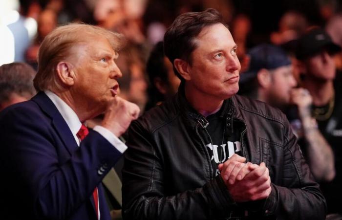 Attriti tra Musk e uno dei migliori luogotenenti di Trump