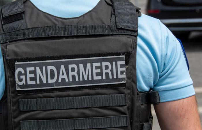 un adolescente di 17 anni ucciso a colpi di arma da fuoco dopo una rissa nel centro della città di Rumilly