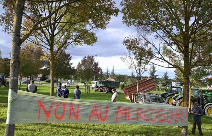 La rabbia degli agricoltori: “Utilizzeremo i mezzi necessari, peccato per le conseguenze”, decine di trattori hanno raggiunto la prefettura del Gers