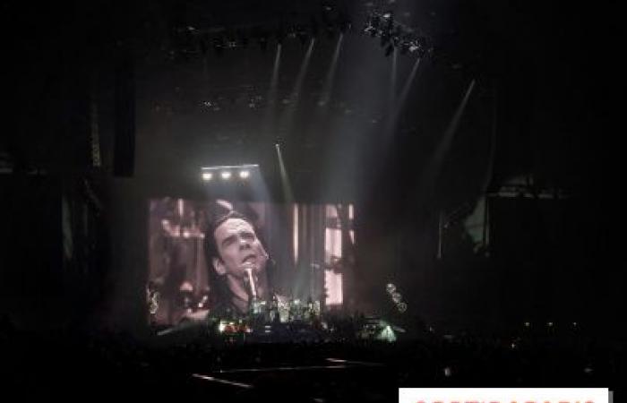 Nick Cave e The Bad Seeds in concerto all'Accor Arena di Parigi: noi c'eravamo, ve lo diciamo