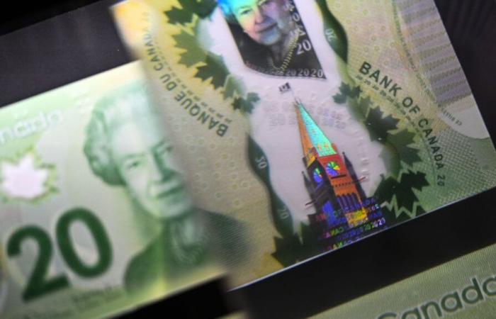 Dollaro canadese: la debolezza valutaria dovrebbe persistere fino al 2025, afferma l'esperto