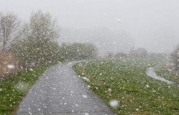 Forti raffiche di vento oltre alla neve: Lussemburgo in allerta gialla questo martedì