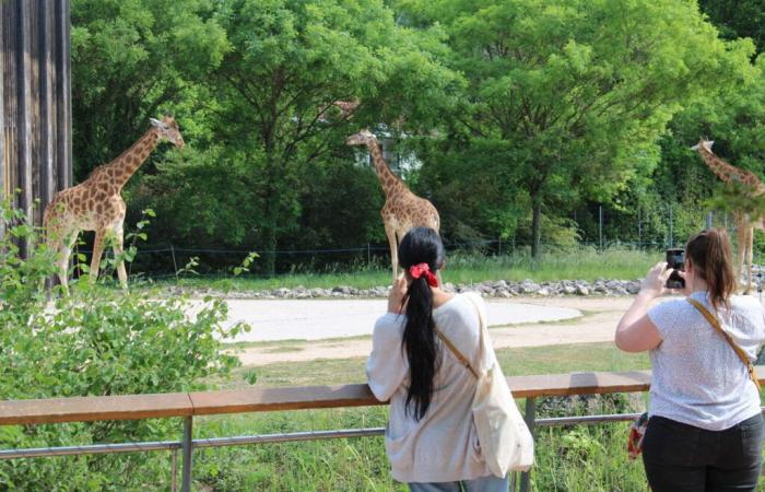 un’azione prevista nel parco