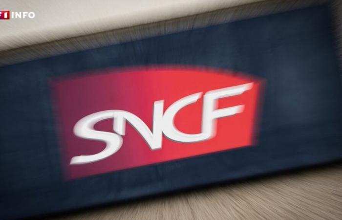 Sciopero alla SNCF: cosa chiedono davvero i ferrovieri