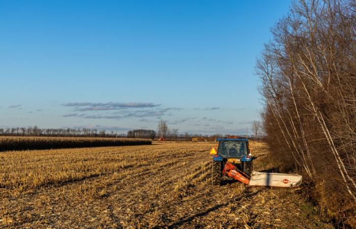 C’è bisogno di un impianto di propano verde in Quebec?