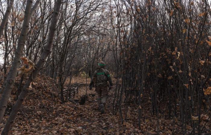 In vista di una possibile guerra con la Russia, Svezia e Finlandia stanno preparando attivamente le loro popolazioni