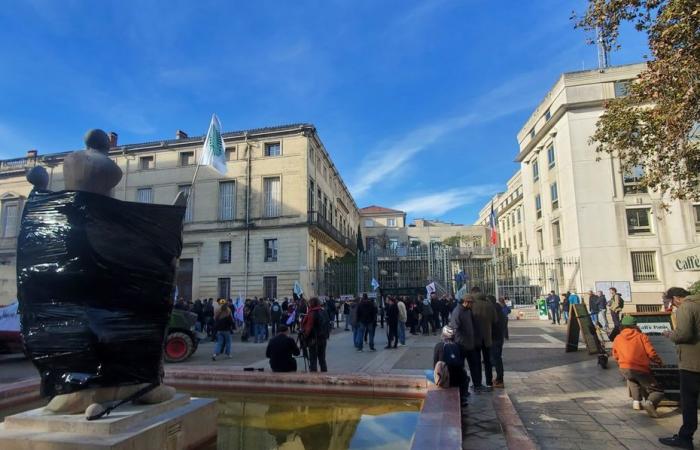 un centinaio di manifestanti a Montpellier, i cartelli della città erano appesi ai cancelli della prefettura