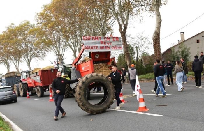 “È davvero solo il primo atto!”