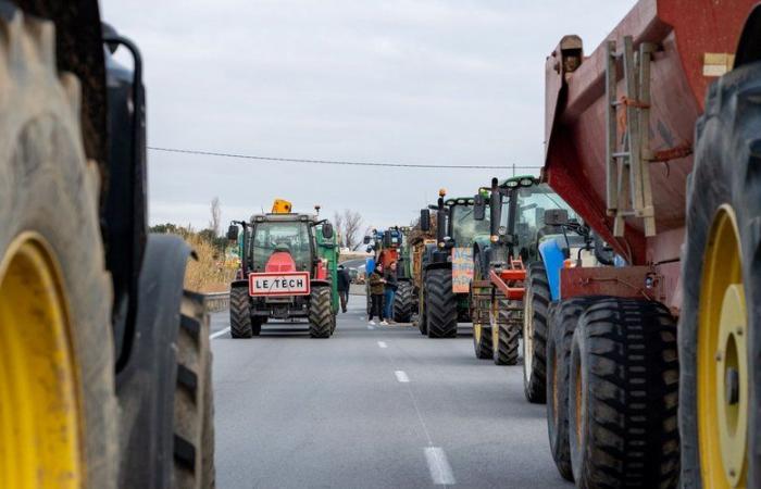 Agricoltori arrabbiati: prima del blocco dell’autostrada A9 e della frontiera spagnola, “85 punti dimostrativi” dal Var al Calvados