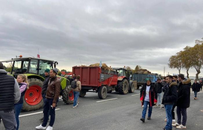 LIVE – Segui la mobilitazione dei contadini di Albi