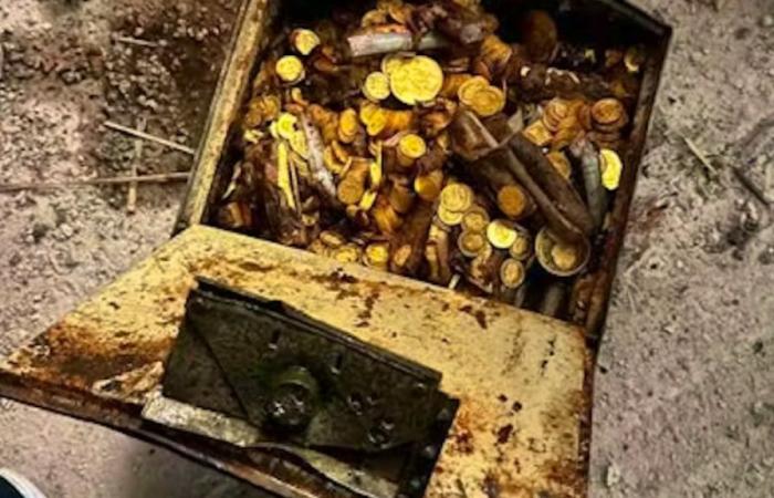 Austria: Non abbastanza curioso, l’operaio perde un tesoro di 30 chili di monete d’oro