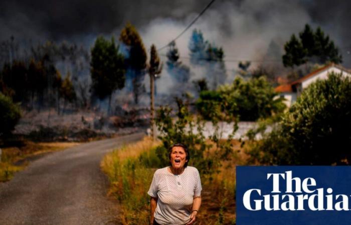 La crisi climatica è responsabile di decine di ondate di caldo “impossibili”, rivelano gli studi | Crisi climatica