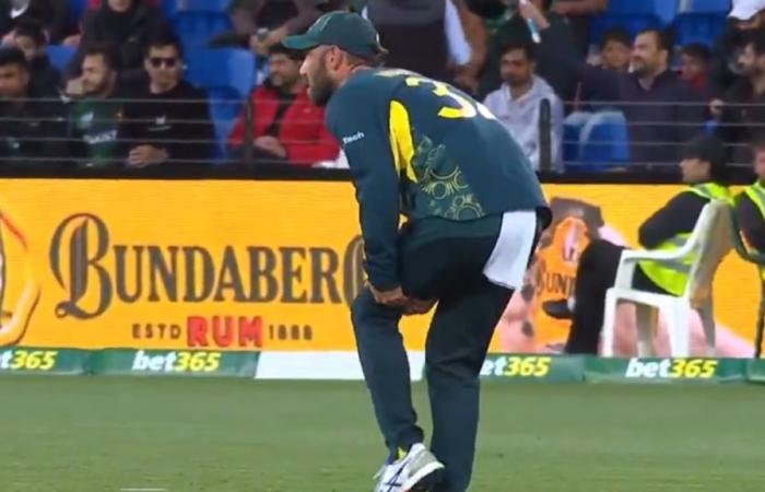 Infortunio al tendine del ginocchio di Glenn Maxwell, video, foto, Australia vs Pakistan, terza nazionale T20