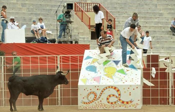 Sulla scia di “Intervilles”, France Télévisions vuole limitare l'uso degli animali sui set cinematografici