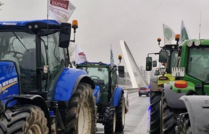 Diretto: gli agricoltori del Loiret installano una diga filtrante sul ponte Europa a Orléans