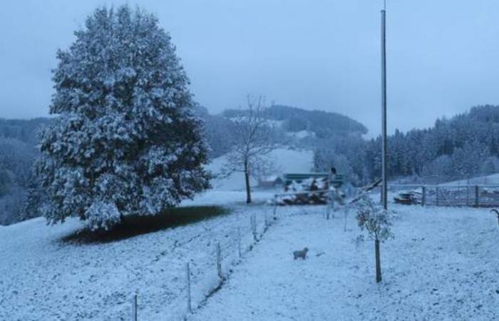 Questa settimana la neve raggiungerà le pianure svizzere