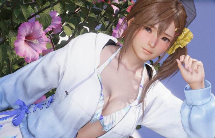 Dai un'occhiata ai 14 minuti di Venus Vacation PRISM: DEAD OR ALIVE Xtreme!