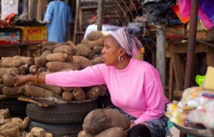 Le scorte alimentari pubbliche possono stabilizzare i prezzi alimentari in Africa