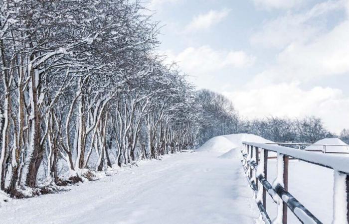 Meteo: le previsioni parlano chiaro, questa settimana arriverà la neve