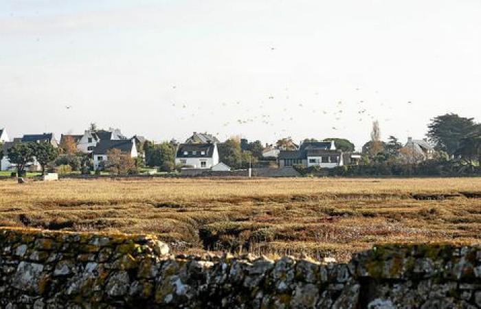 Il Parco Naturale Regionale del Golfo del Morbihan, cosa cambia per i residenti?