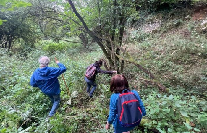 Un uomo morto da diverse settimane scoperto a Saint-Hilaire-sur-Helpe