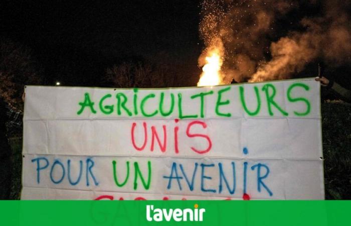 “La morte è nel prato”: lunedì gli agricoltori francesi manifestano contro l’accordo UE-Mercosur (video)