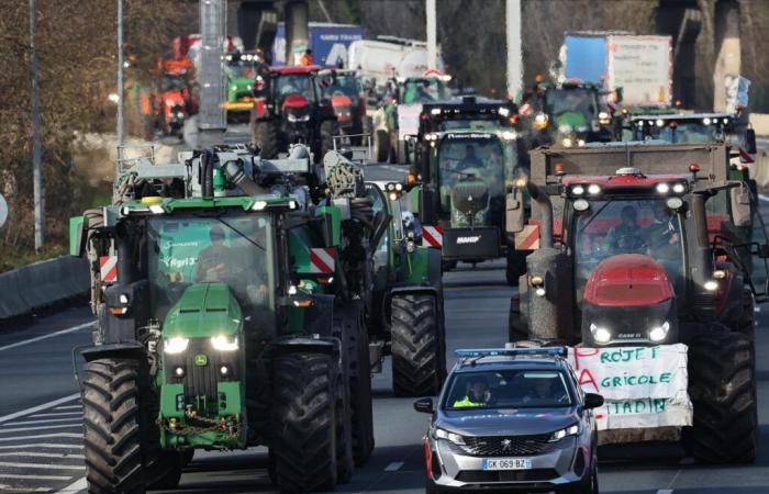 La rabbia dei contadini. I trattori faranno il loro ritorno nella metropoli di Bordeaux