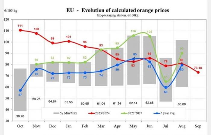 A settembre i prezzi delle arance nell’UE sono diminuiti del 9,24%.