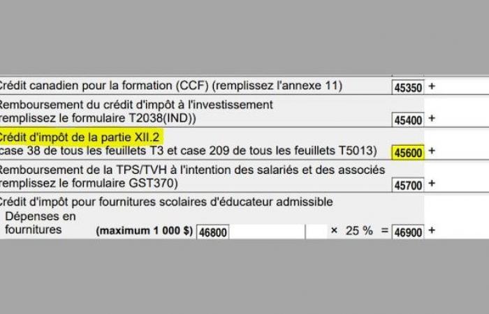 L’Agenzia delle Entrate è a conoscenza da mesi di gravi “falle” interne