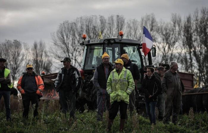 Sotto la pressione dei suoi agricoltori, la Francia guida la rivolta contro il libero scambio con i paesi del Mercosur