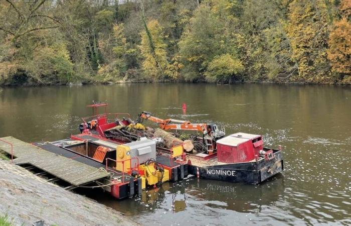 Perché una barca trasporta pezzi di albero a Mayenne?