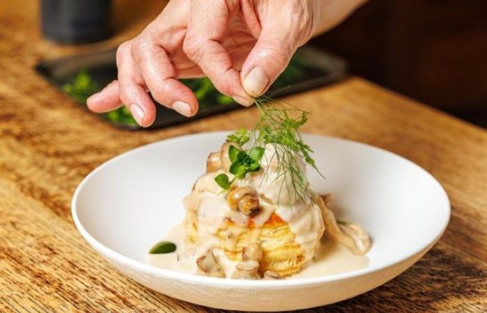 Porzione full au vent, caraffa di vino,… non paghi ma dormi sul pavimento del ristorante: lo schiumatoio Cliff H. deve andare in prigione (Anversa)