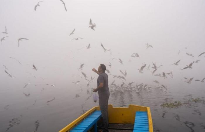 Meteo nel mondo