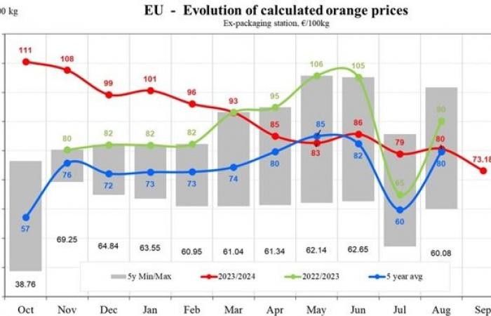 A settembre i prezzi delle arance nell’UE sono diminuiti del 9,24%.